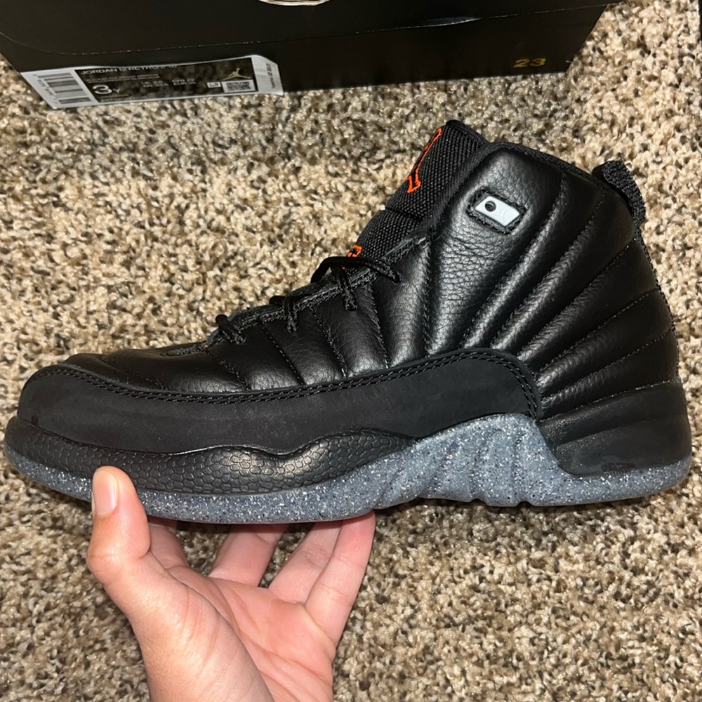 Brand New Retro Jordan 12